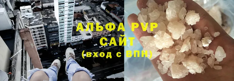 A PVP СК  Куртамыш 